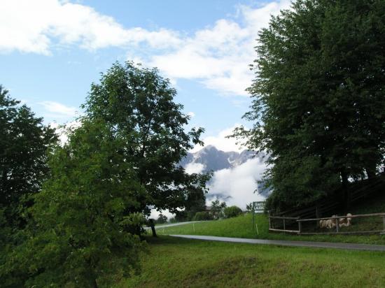 Krimel_al_edovec_003.jpg - 