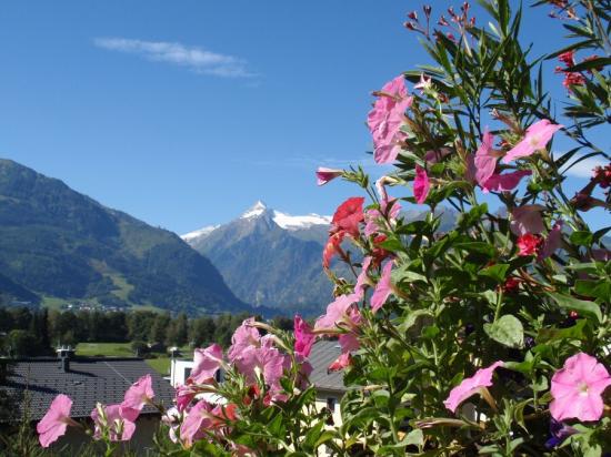 Krimel_al_edovec_006.jpg - 