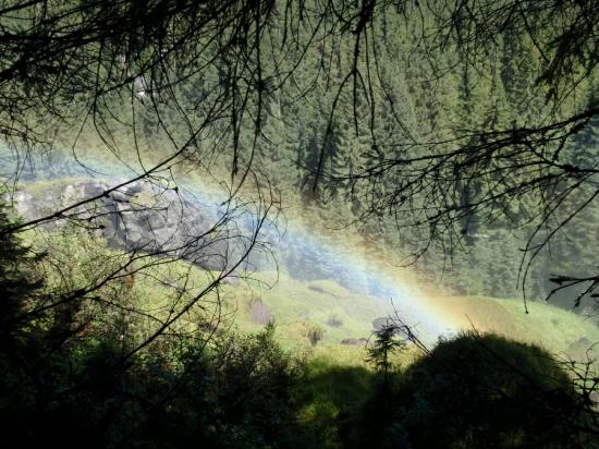 Krimel_al_edovec_011.jpg - 