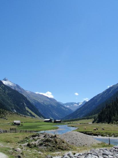 Krimel_al_edovec_046.jpg - 